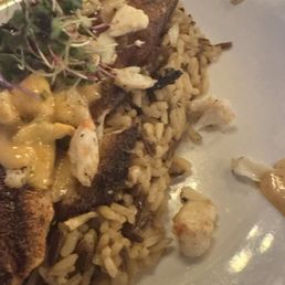 Trout over wild rice with a Cajun lobster sauce