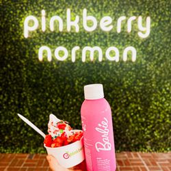 Pinkberry Norman - Original Flavor with Toppings (strawberry, M&Ms, rainbow sprinkles, and fruity pebbles) & PATH Bottled Water