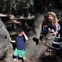 Lilac Oaks Campground & RV Park - Just goofing around!