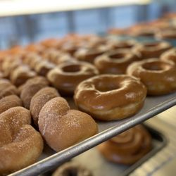 Fresh Donuts
