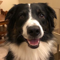 Jake smiling. Jake smiling.