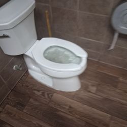 Wendy's - Toilet