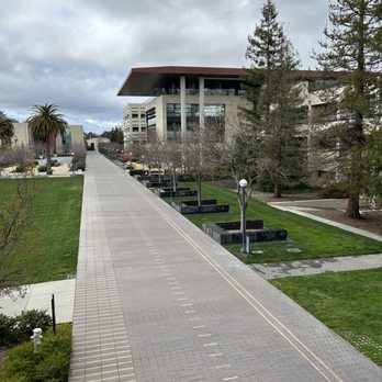 Discovery Walk - Local Flavor Near Me - Stanford, California Discovery Walk - Local Flavor Near Me - Stanford, California