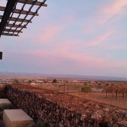 Southwest Wine Center - The patio offers a stunning view of the vineyard and surrounding landscape.