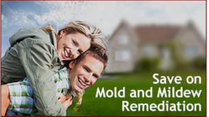 Authorized Services - mold inspector in Venice, FL