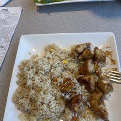Shiki 3 - Teriyaki chicken no veggies
