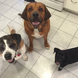 Happy patients of Meadowlands Vet! Happy patients of Meadowlands Vet!