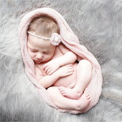 Allyson Furlong Photography