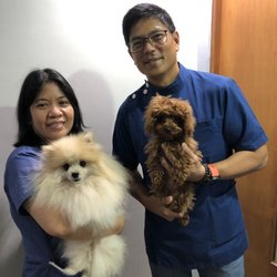 Vets In Practice - Dr. Donato with Nacho and Mae with Pepper.
