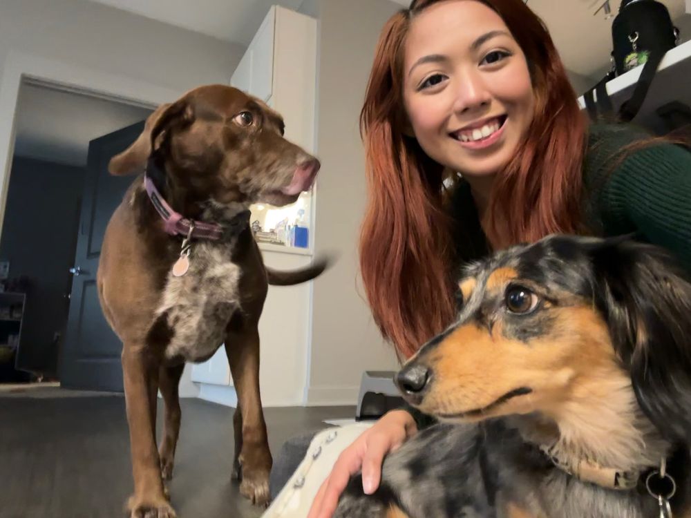 Pet Care by Kristen - pet boarding facility in North Little Rock, AR