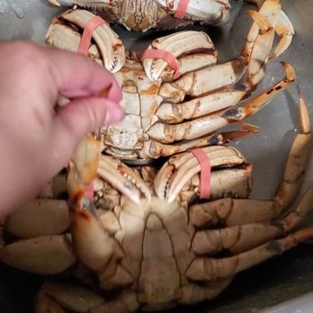 H Mart - Irvine - The bottom one is totally dead. - Grocery Near Me - Irvine, California H Mart - Irvine - The bottom one is totally dead. - Grocery Near Me - Irvine, California