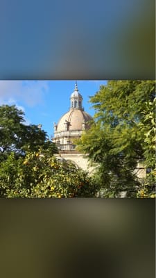 Catedral de Jerez de la Frontera / Colegiata de Nuestro Señor San Salvador by null