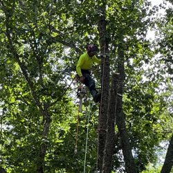 J & I Tree Service