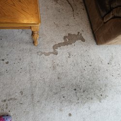 Stanley Steemer - Before. 13 years of layered spills.