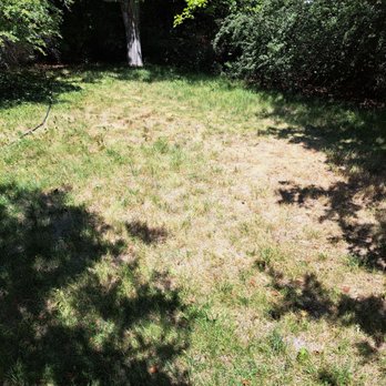Vivax Pros - Painters Near Me - Denver, Colorado