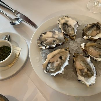 Terrapin Creek Cafe & Restaurant - Oysters On The Half Shell - New American Near Me - Bodega Bay, California Terrapin Creek Cafe & Restaurant - Oysters On The Half Shell - New American Near Me - Bodega Bay, California