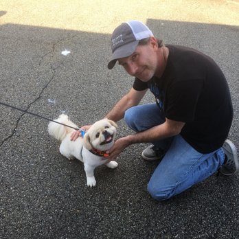 The Rollaway Dog Cafe - The best part is meeting all these happy pups! (And occasionally a cat!) - Food Trucks Near Me The Rollaway Dog Cafe - The best part is meeting all these happy pups! (And occasionally a cat!) - Food Trucks Near Me