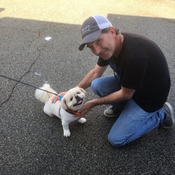 The Rollaway Dog Cafe - The best part is meeting all these happy pups! (And occasionally a cat!)