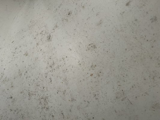 Jumping Fiesta Rentals LLC