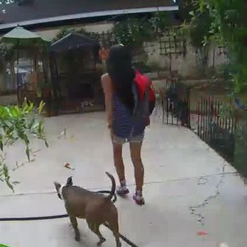 My Rover House - Pet Training Near Me My Rover House - Pet Training Near Me
