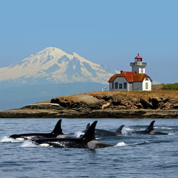 Pacific Northwest Yacht Charters - Boat Charters Near Me - Seattle, Washington Pacific Northwest Yacht Charters - Boat Charters Near Me - Seattle, Washington