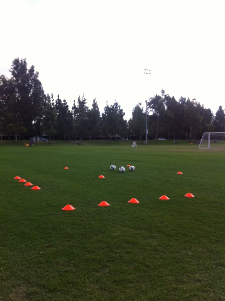 Studio Soccer Training Logo