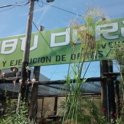 Bambú Dorado