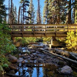 Umbrella Falls Trail