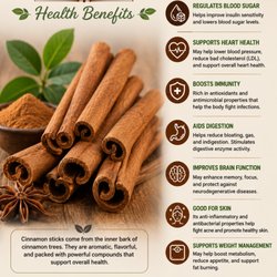 Alive Herbals