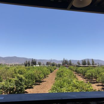 Vinos Emevé - Wineries Near Me - Mezcales, NAY Vinos Emevé - Wineries Near Me - Mezcales, NAY