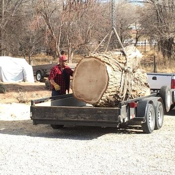 American Tree Services - Tree Services Near Me