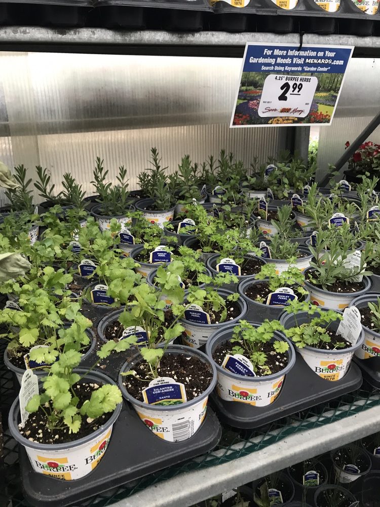 MENARDS Updated September 2024 21 Photos & 22 Reviews 5351