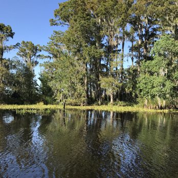 Ultimate Swamp Adventures - Tours Near Me - Westwego, Louisiana Ultimate Swamp Adventures - Tours Near Me - Westwego, Louisiana