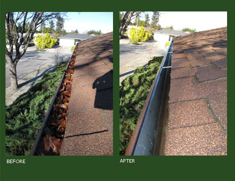 Slide of Ace Gutter Cleaning