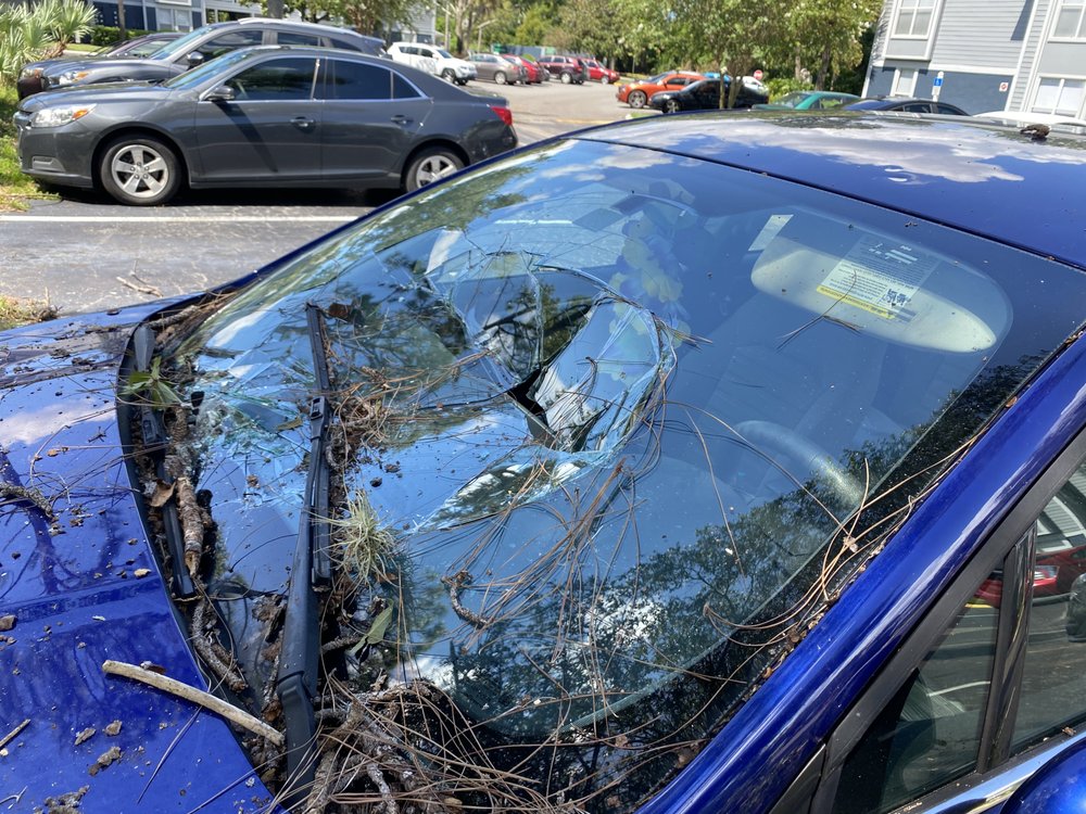 TRUTECH AUTOGLASS Updated September 2024 Request a Quote