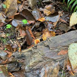 Crystal Falls - Trailhead