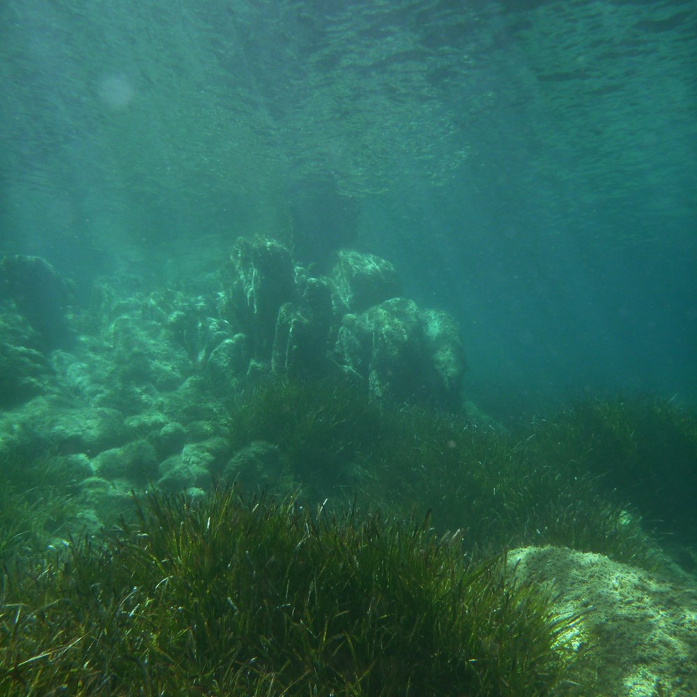Nautilus Di Apuzzo Vincenzo - Sporting Goods Near Me - Palau, 88