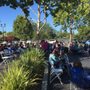 Photo of July Music Festival