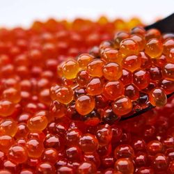 Caviar Centre