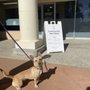 Photo of Community Pet Clinic