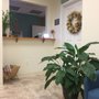 Photo of Phoenix Rising Acupuncture