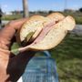 Photo of Andersen Bakery