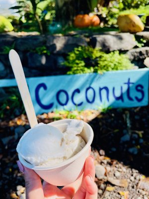 Coconut Glen's by null