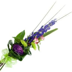 Stems of Jedburgh
