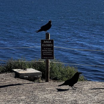 Ocean Trails - Hiking Near Me - Rancho Palos Verdes, California