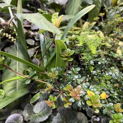 The Spheres Discovery At The Understory