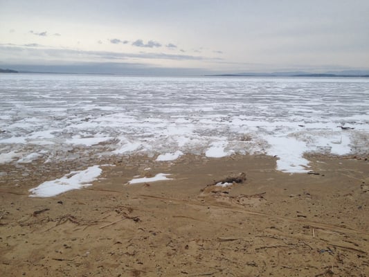 Cumberland Bay State Park by null
