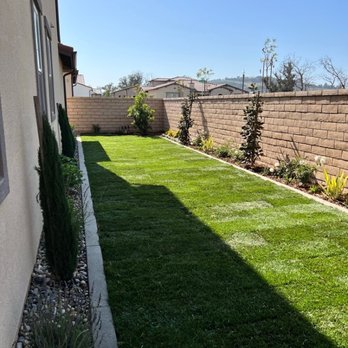 Mike Muscarella Landscaping - Side yard. - Landscaping Near Me - Camarillo, California