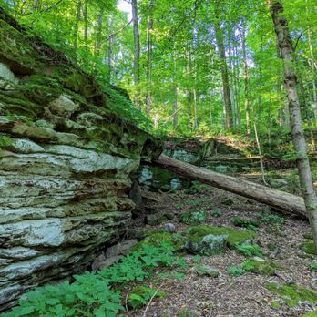 Worden's Ledges - Instagram: @telephonesmoothie - Hiking Near Me - Hinckley, Ohio