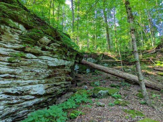 Worden's Ledges by null